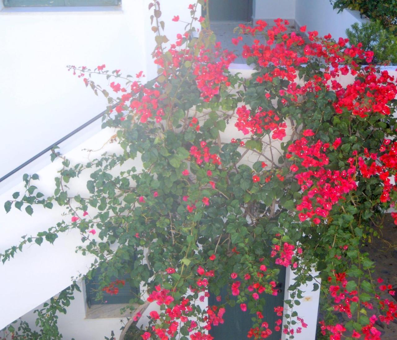 Palemilos Apartments Elounda  Luaran gambar